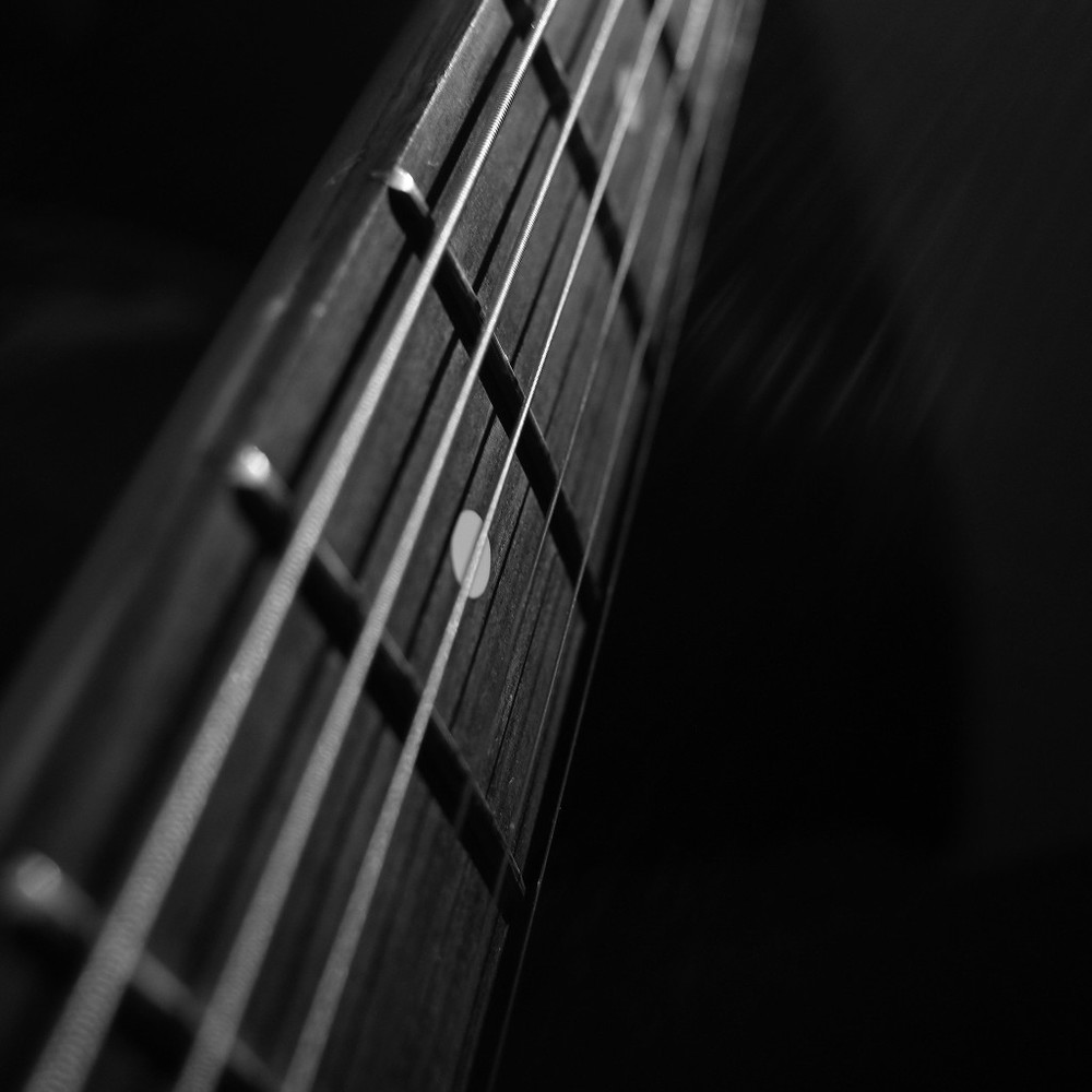 Meet your Posher, Shaun